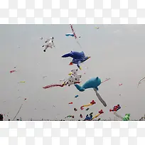 各种风筝飞在天上