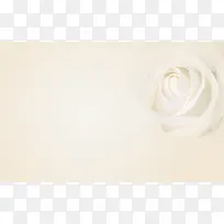 白色米色玫瑰渐变淘宝平面美容化妆背景