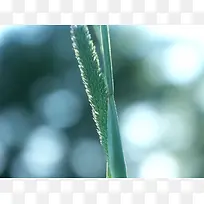 简约并不简单的