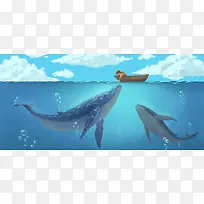 男孩与鲸鱼banner