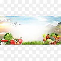 健康有机蔬菜大气蓝天背景