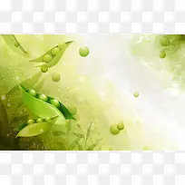 小碗豆的背景