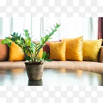 奢华欧式抱枕沙发桌子桌面植物盆栽窗床帘