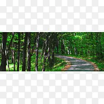 林荫小路