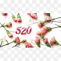情人节玫瑰520
