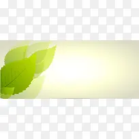 卡片叶子banner