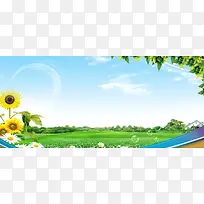 清新教育宣传黑板报海报banner