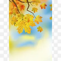 秋天树叶黄背景