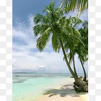 蓝天 白云 椰子树 沙滩 海水