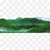 茶叶梯田
