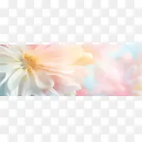 花朵背景 banner