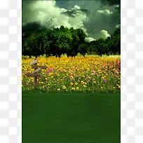 背景大图-风景7