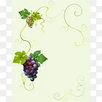 矢量手绘美食葡萄藤葡萄酒背景素材