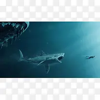 巨齿鲨与人类