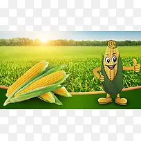 绿色玉米田卡通玉米海报背景素材