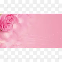 玫瑰花海报背景素材
