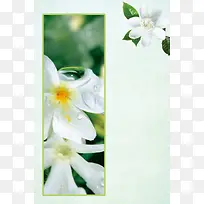 创意大气栀子花开海报设计