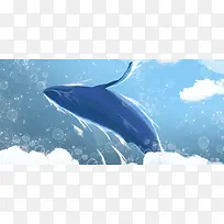 云端的鲸鱼banner
