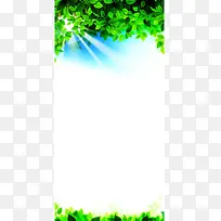 环保绿叶广告背景模板