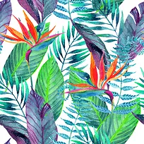 热带雨林植物纹理