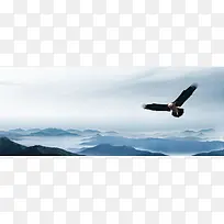 老鹰遨游天际背景图