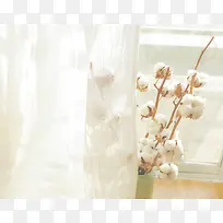 文艺简约棉花海报背景