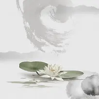 中国风水墨画荷花荷叶毛笔笔触质感