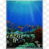 海底世界海报背景