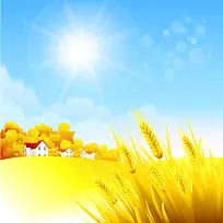蓝天太阳金色小麦背景素材