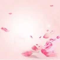 粉色唯美花瓣背景