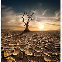环保公益干旱缺水海报背景
