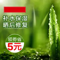 绿色小清新芦荟胶背景