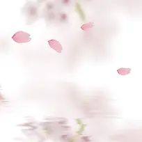 温馨粉色花瓣背景图
