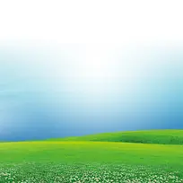 草原白色小花背景