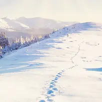 雪景主图