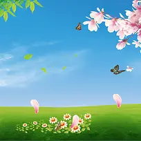 蓝天草地盛开的桃花花瓣主图背景