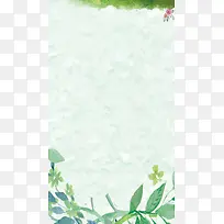 绿色清新文艺植物背景素材