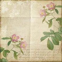花朵复古欧式花纹信纸纹理背景图