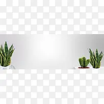 简约清新夏装大促banner