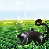 绿色茶园茶叶背景