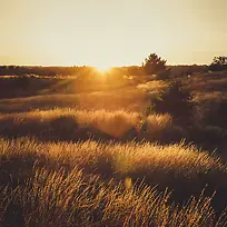 唯美夕阳背景