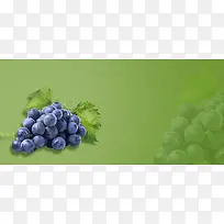 葡萄熟了简约绿色背景
