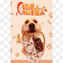 清新简约宠物海报