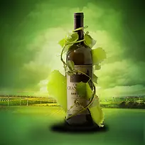 绿色缠绕绿枝红酒背景海报