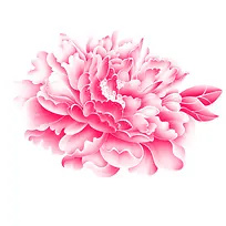 粉色质感花朵