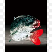 创意大鱼海报背景