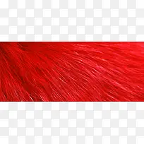 红色毛发 毛皮 质感 层次