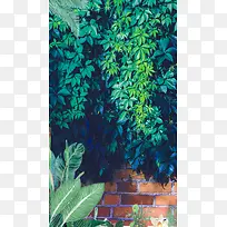 清新绿色树叶植物红色砖墙风景摄影