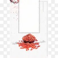 中医疗法中药养生