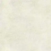 黄皮卷质感背景促销主图
